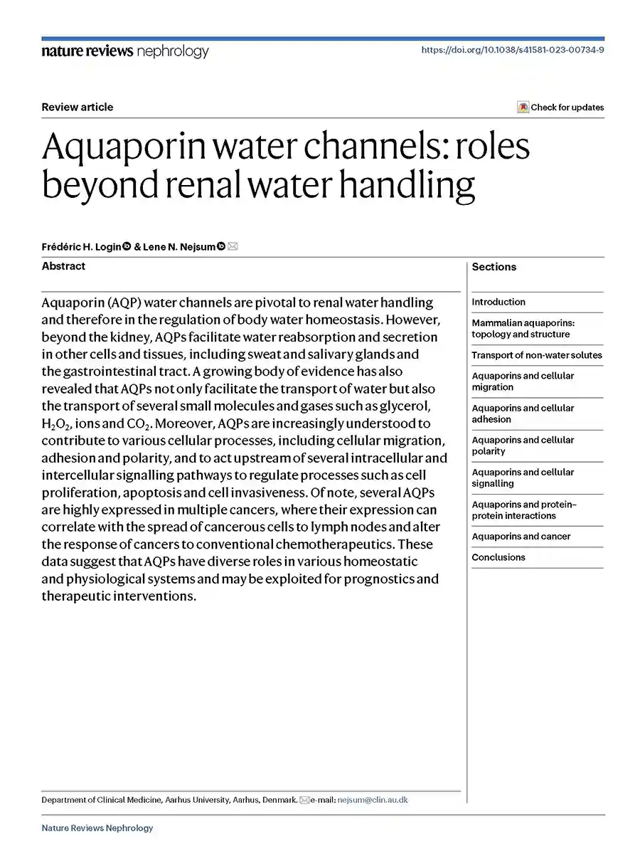 Forside af reviewartikel om aquaporiners roller i og uden for nyrens vandhåndtering (Login et al., Nature Review Nephrology, 2023)